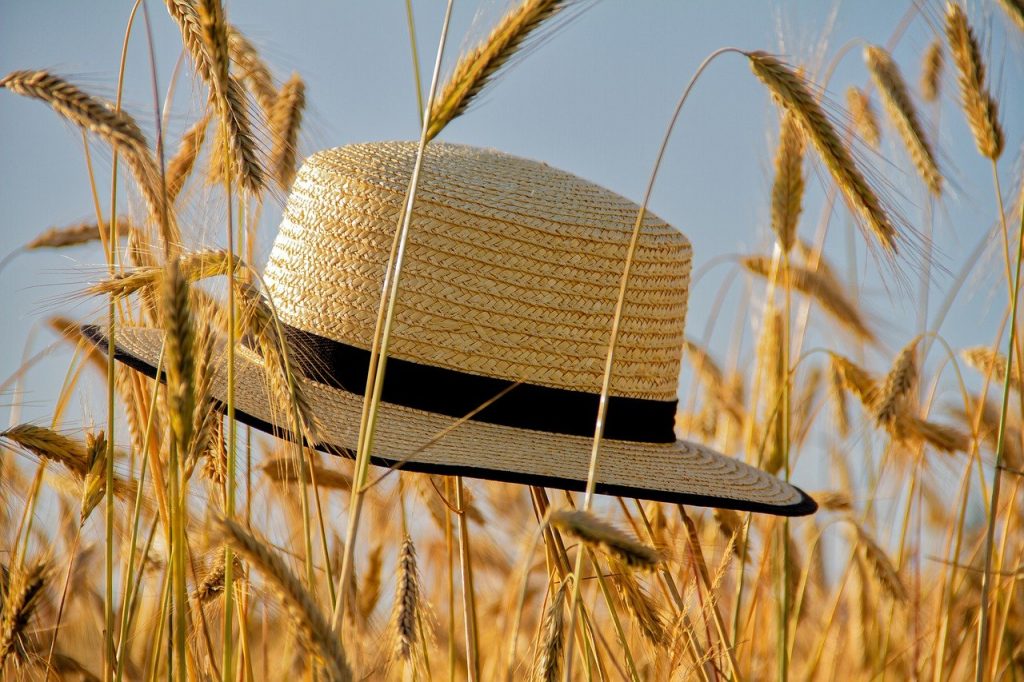 cap, straw hat, summer-7278216.jpg